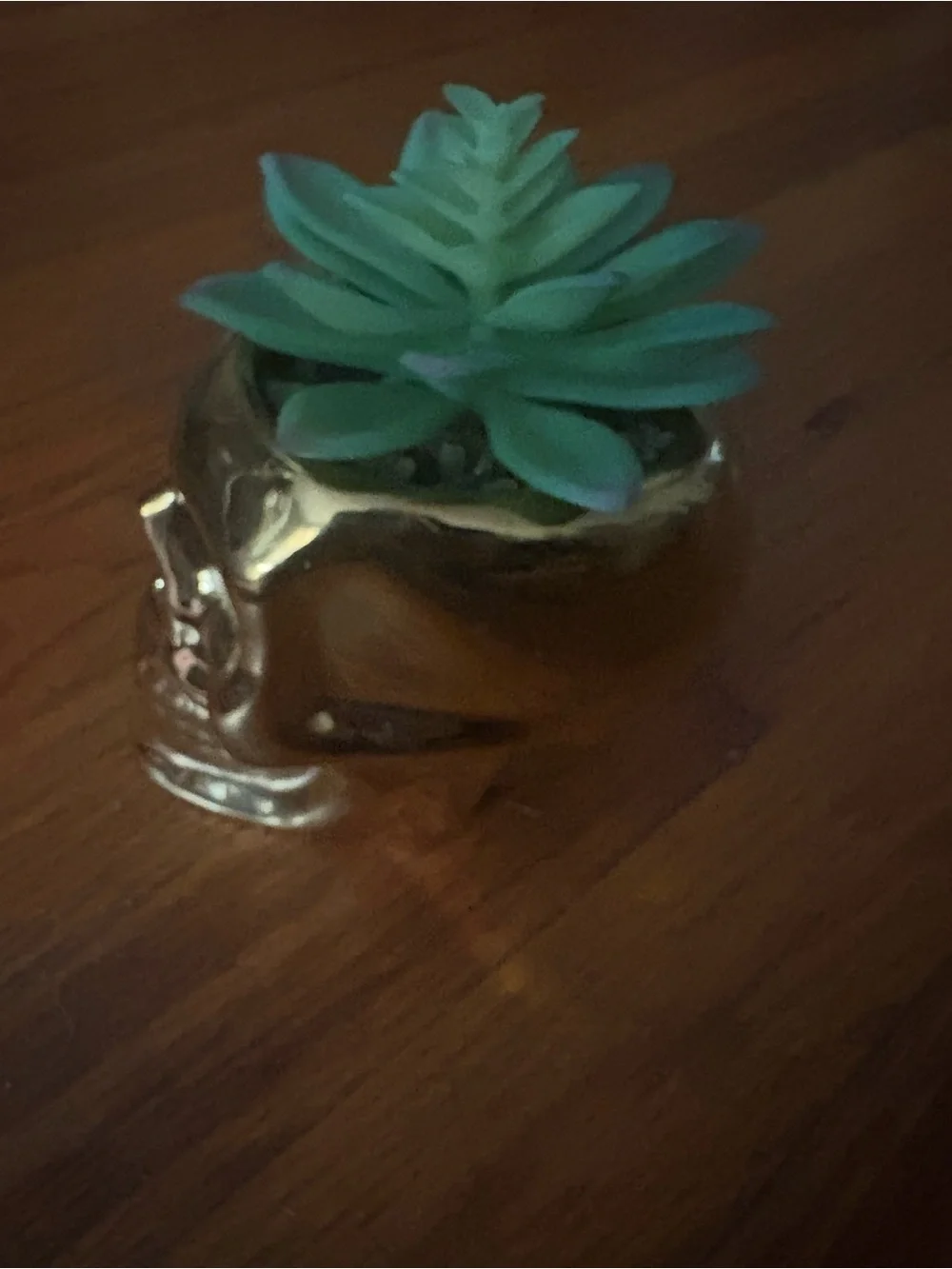 Gold Ceramic Skull Planter with Green faux Succulent